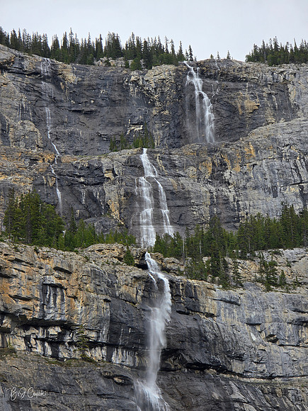 Jasper (6)-1