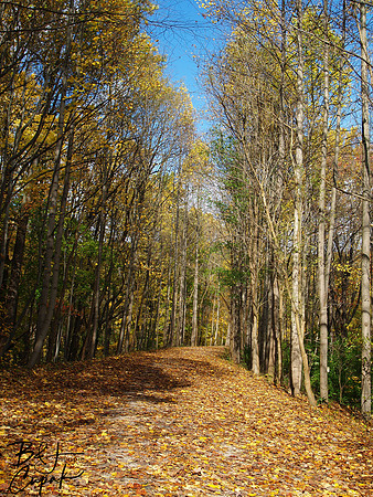 Ohiopyle State Park, PA (10)