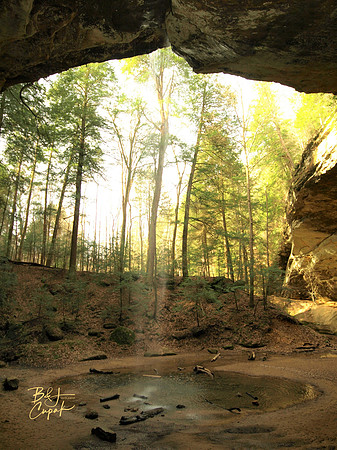 H Hills, OH - Ash Cave  (20)