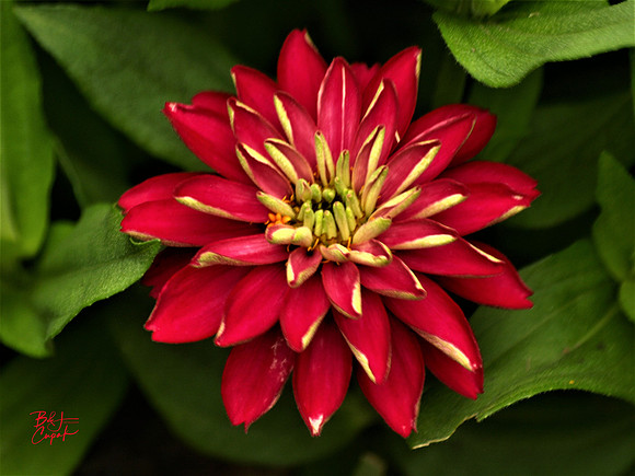 Hershey Gardens, PA (29)