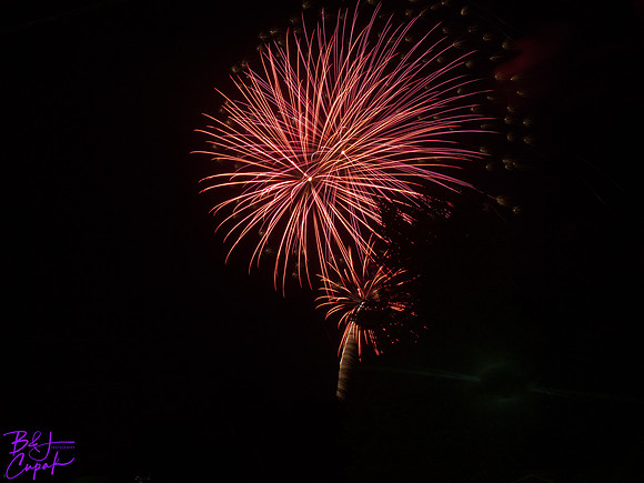 PA Fireworks (20)