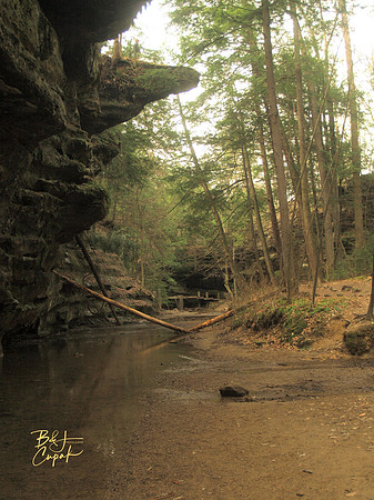 H Hills, OH - Old Man's Cave (4)