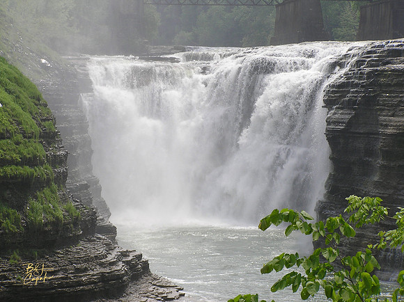 Letchworth State Park, NY  (7)