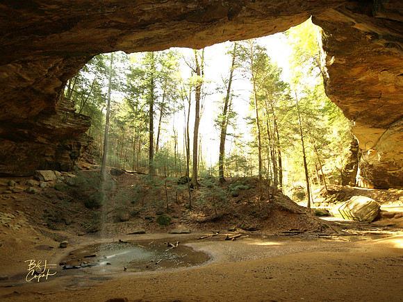 H Hills, OH - Ash Cave  (24)