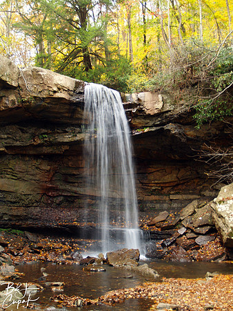 Ohiopyle State Park, PA (15)