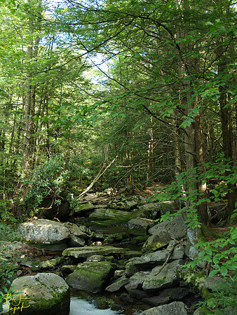 Black Water Falls, WV (9)