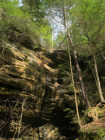 H Hills, OH - Ash Cave  (1)