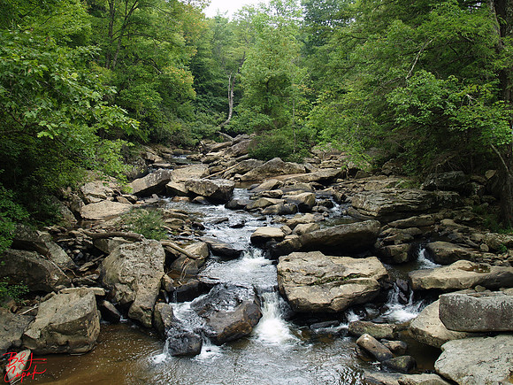 Babcock State Park, WV  (2)