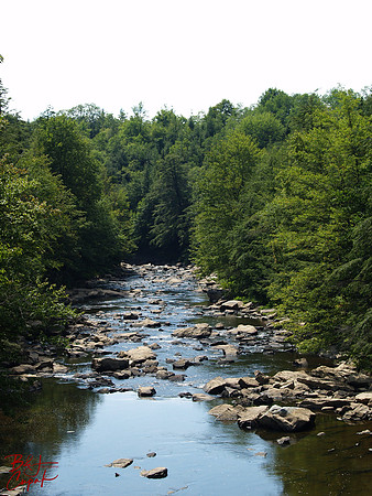 Black Water Falls, WV (6)