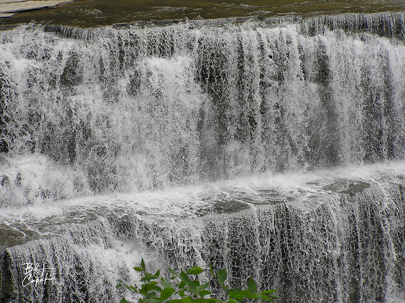 Letchworth State Park, NY  (5)