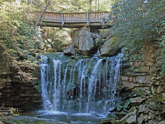 Black Water Falls, WV (21)