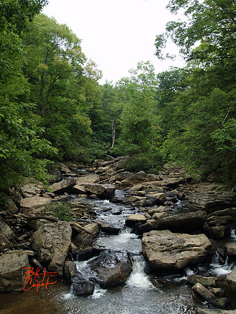 Babcock State Park, WV (4)
