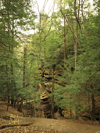 H Hills, OH - Cedar Falls (9)