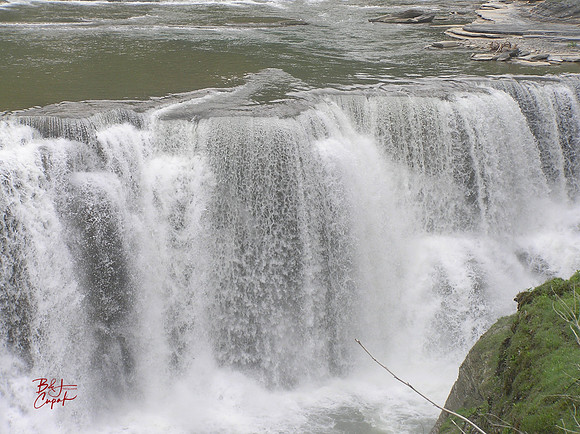 Letchworth State Park, NY  (2)