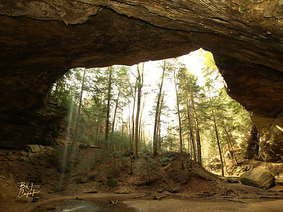 H Hills, OH - Ash Cave  (18)