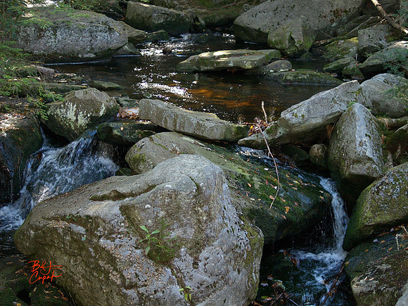 Black Water Falls, WV (4)