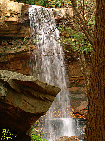 Ohiopyle State Park, PA (7)