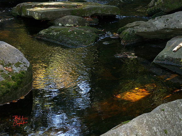 Black Water Falls, WV (3)