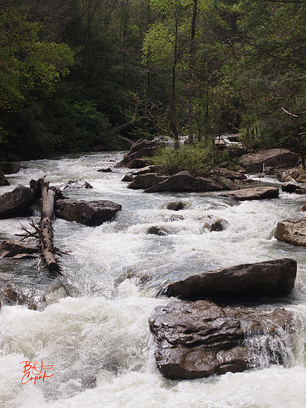 Babcock State Park, WV (6)