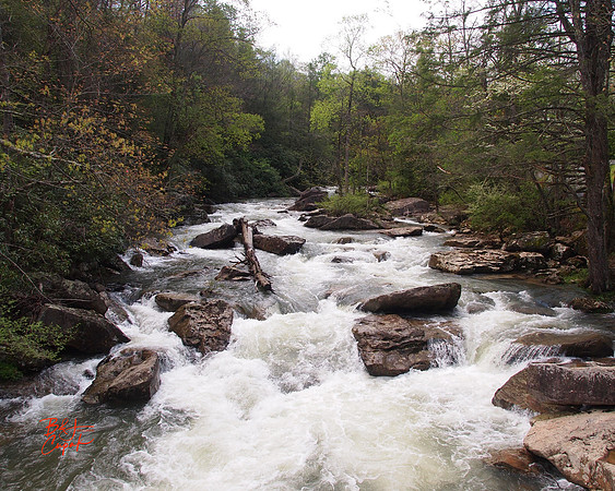 Babcock State Park, WV (8)
