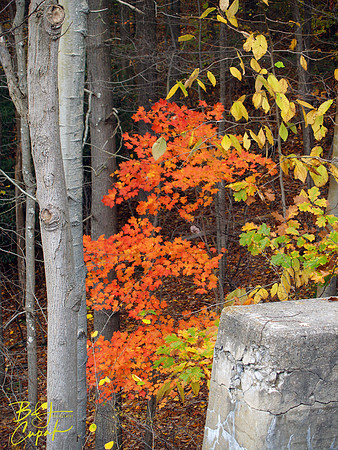 Ohiopyle State Park, PA (11)