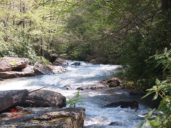 Babcock State Park, WV (5)