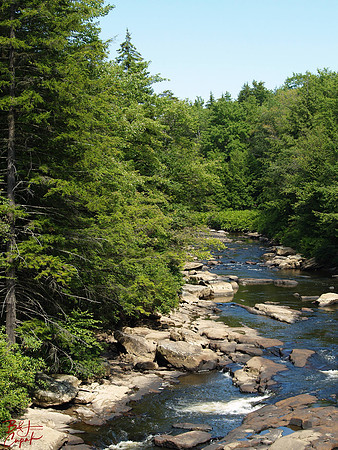Black Water Falls, WV (7)