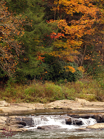 Ohiopyle State Park, PA (6)