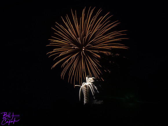 PA Fireworks (3)