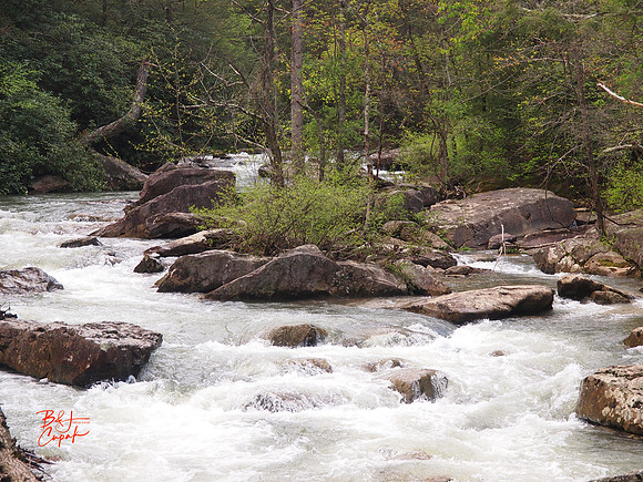 Babcock State Park, WV (7)