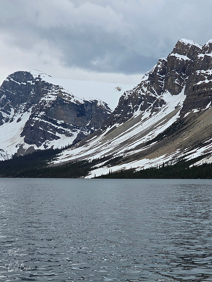 Jasper (1)-1