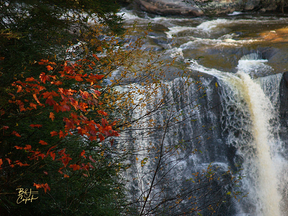 Black Water Falls, WV (20)