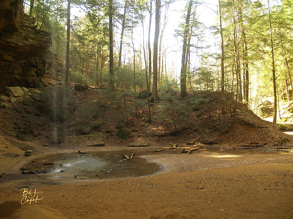 H Hills, OH - Ash Cave  (10)