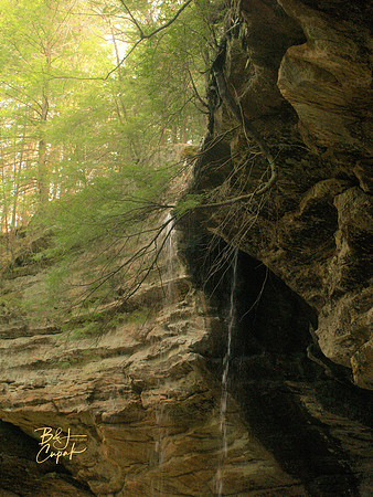 H Hills, OH - Ash Cave  (6)