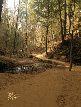 H Hills, OH - Ash Cave  (3)