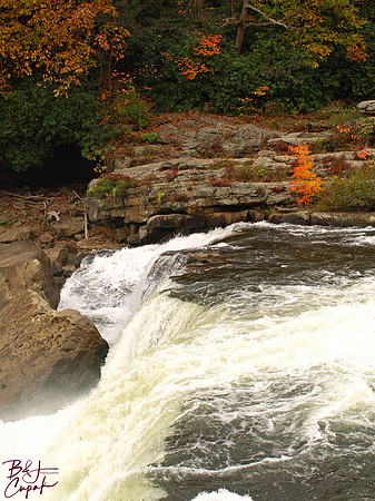 Ohiopyle State Park, PA (5)