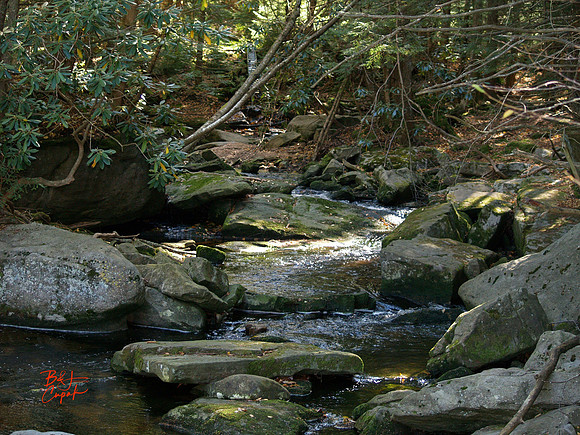 Black Water Falls, WV (2)