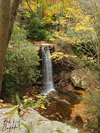 Ohiopyle State Park, PA (14)