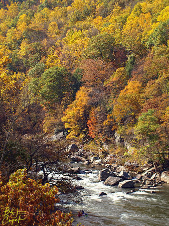 Ohiopyle State Park, PA (1)