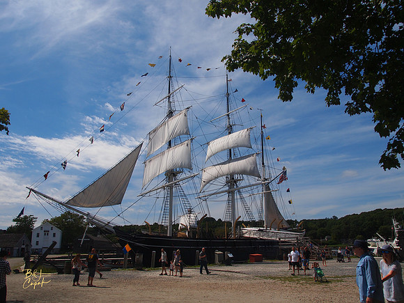 Charles W, Morgan, Mystic Seaport Museum, CT (1)