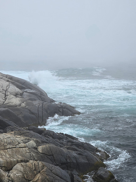 Peggy's Cove - Halifax (7)-1